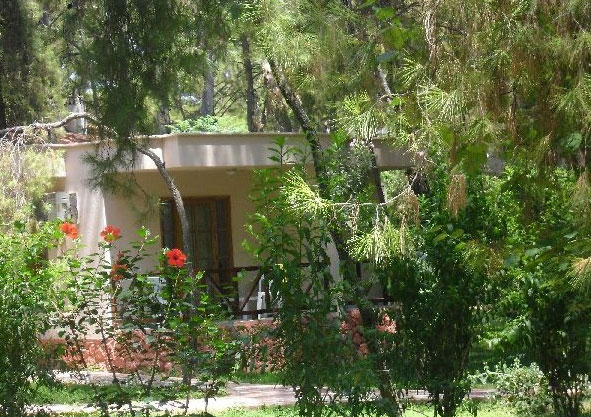 Club Pınara